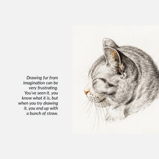 Animal Fur Procreate Kit