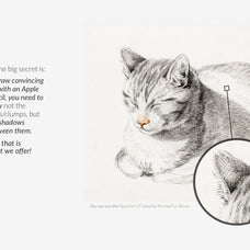 Animal Fur Procreate Kit