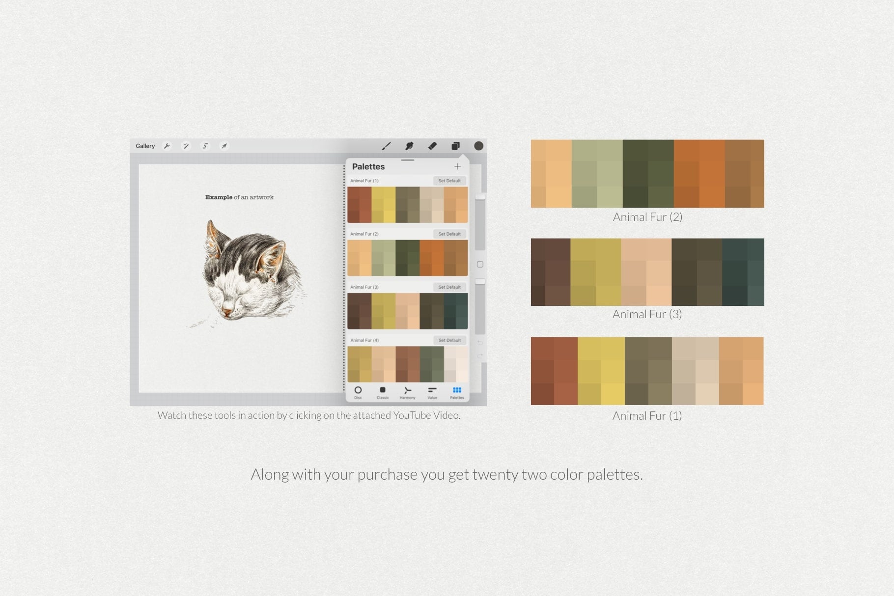 Animal Fur Procreate Kit