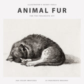 Animal Fur Procreate Kit