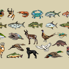 animal-hunt-badge-collection-skilline-supply-co-2.png