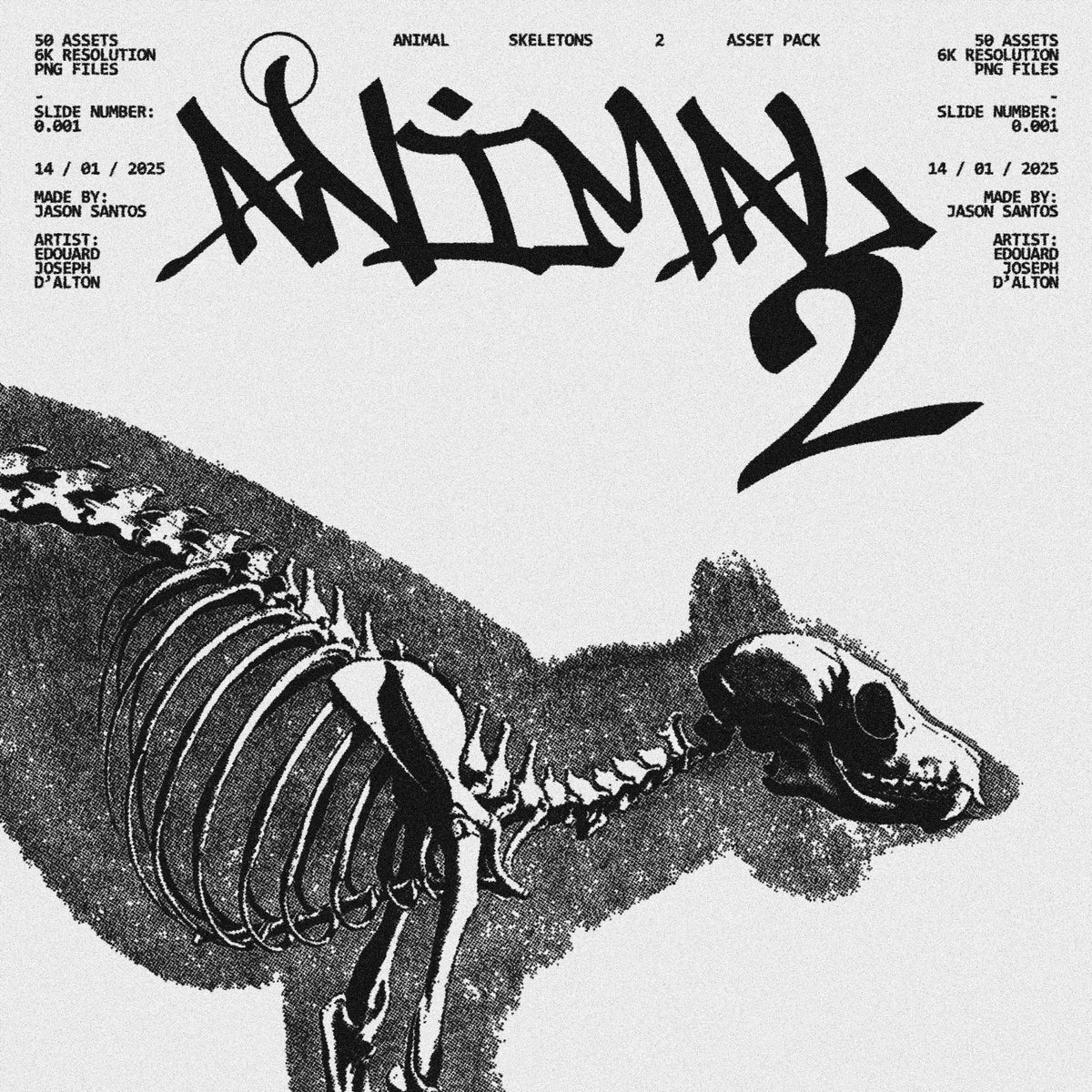 Animal Skeletons Asset Pack (Vol.2) by Jason Santos, preview 1