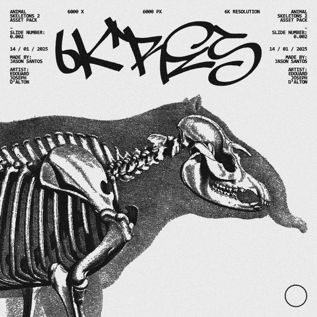 Animal Skeletons Asset Pack (Vol.2) by Jason Santos, preview 3
