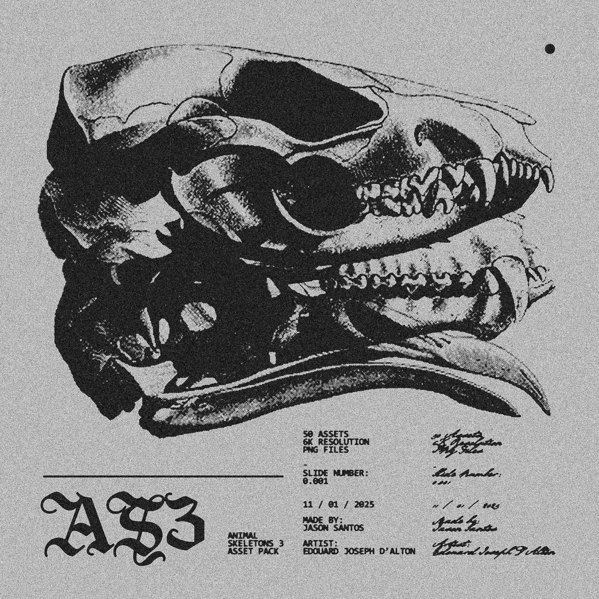 Animal Skeletons Asset Pack (Vol.3) by Jason Santos, preview 1