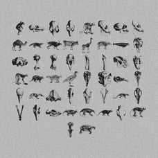 Animal Skeletons Asset Pack (Vol.3) by Jason Santos, preview 2