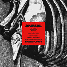 Animal Skeletons Asset Pack (Vol.4) by Jason Santos, preview 1