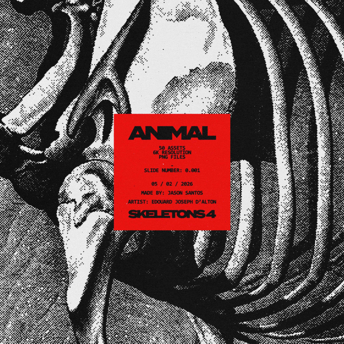 Animal Skeletons Asset Pack (Vol.4) by Jason Santos, preview 1