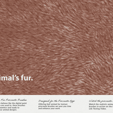 animals-fur-procreate-brushes-digi-life-2.png