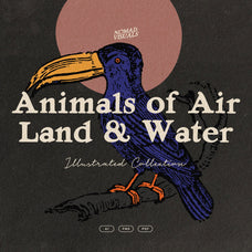 Animals of Air Land & Water