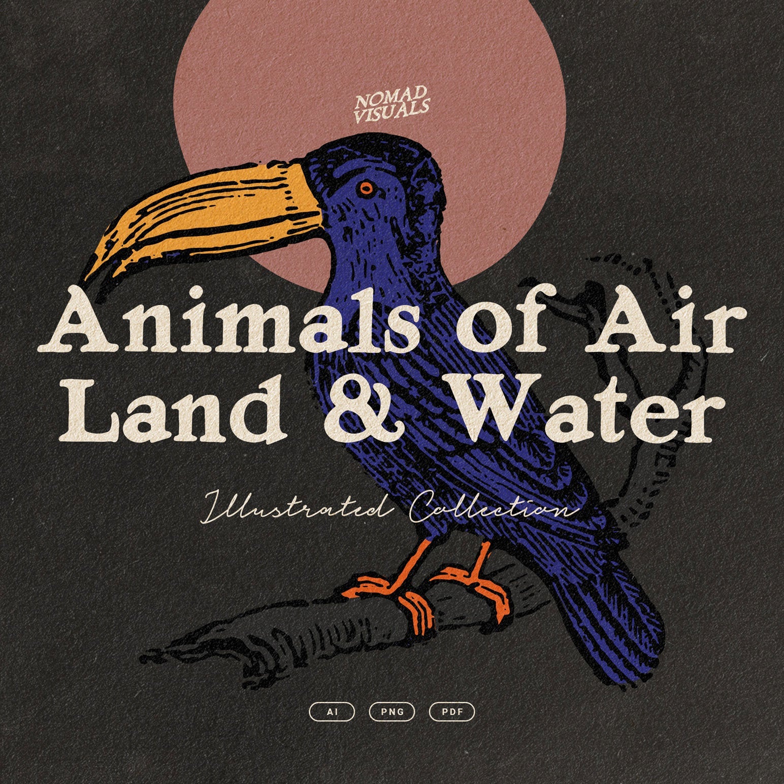 Animals of Air Land & Water