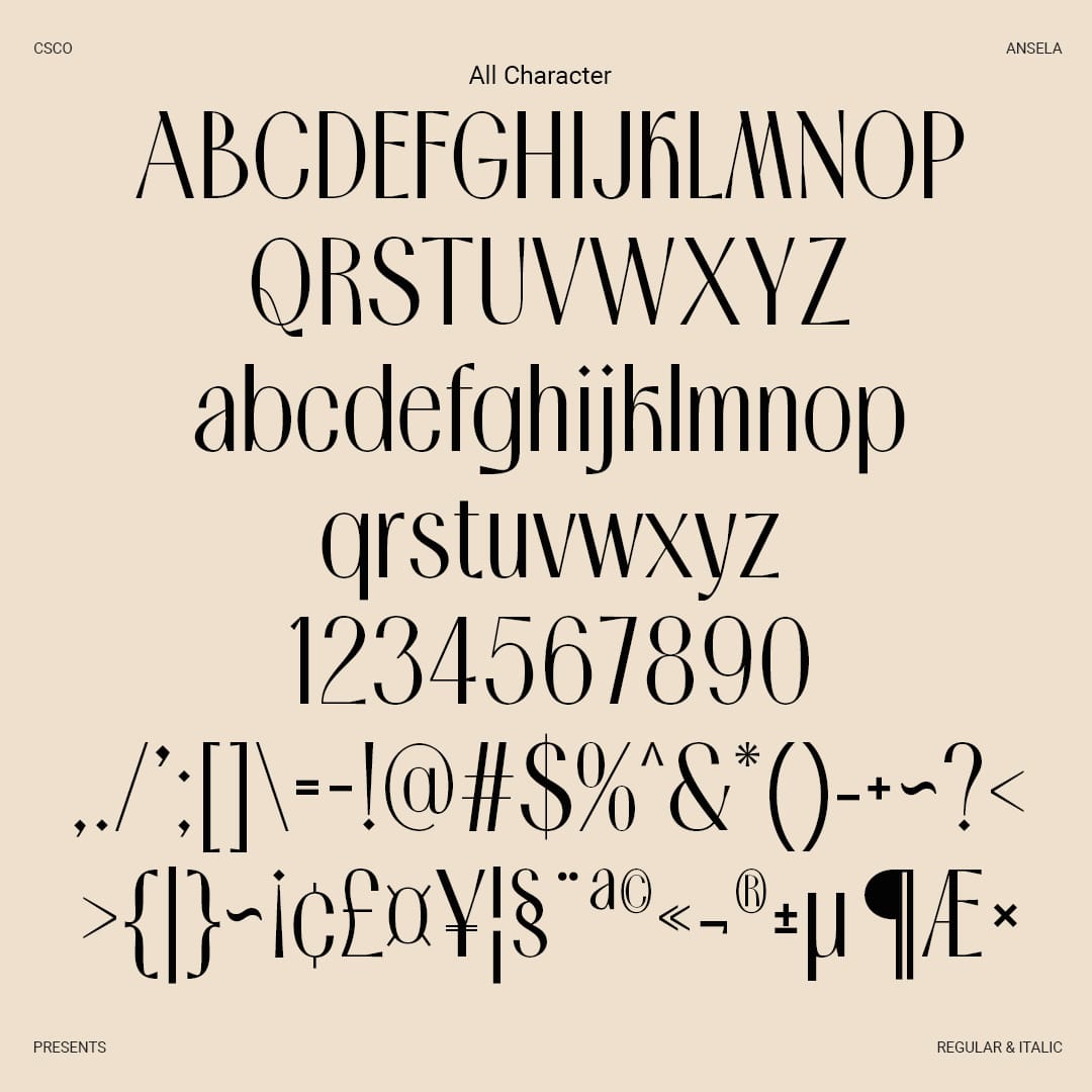 ansela-elegant-sans-craft-supply-co-8.jpg