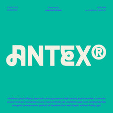 antex-bold-playful-quirky-font-casloop-studio-1.jpg