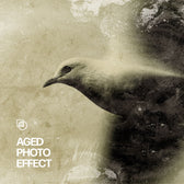 Antique Photo Effect