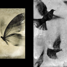 antique-photo-effect-pixelbuddha-2.jpg