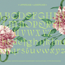aqreamig-elegant-luxury-font-unknown-creator-37.png
