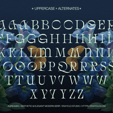 aqreamig-elegant-luxury-font-unknown-creator-38.png