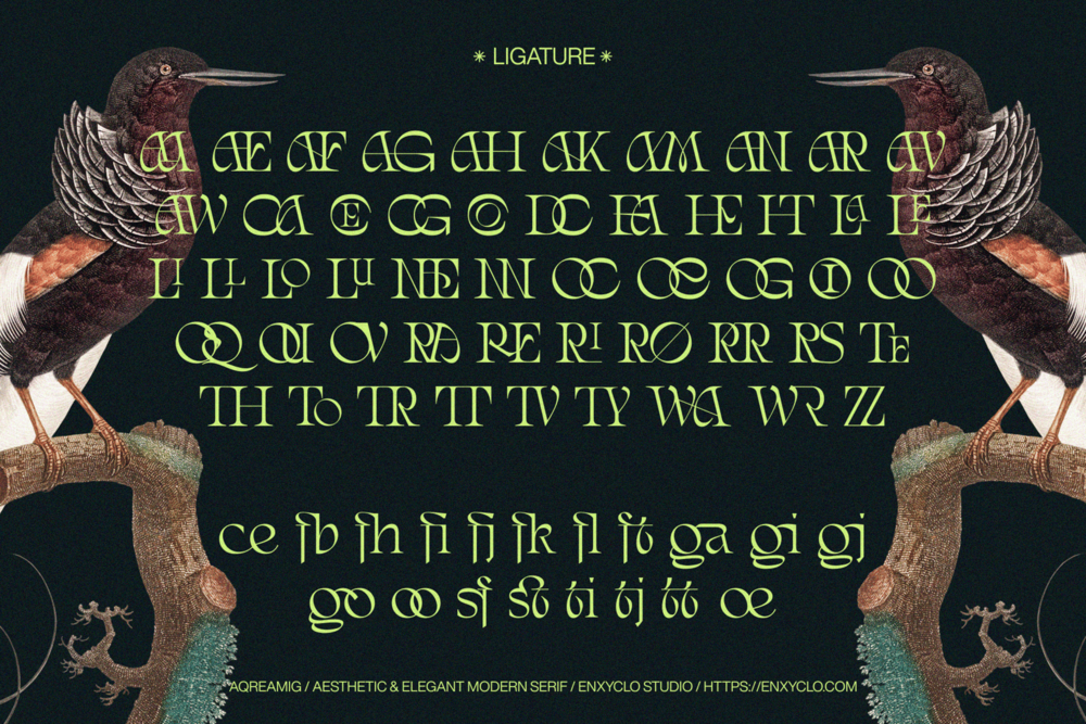 aqreamig-elegant-luxury-font-unknown-creator-41.png