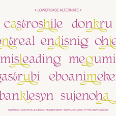 aqreamig-elegant-luxury-font-unknown-creator-42.png