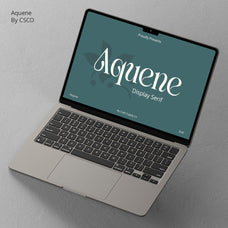 aquene-display-serif-craft-supply-co-1.jpg