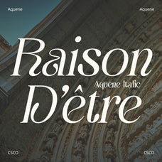 aquene-display-serif-craft-supply-co-2.jpg