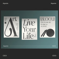 aquene-display-serif-craft-supply-co-3.jpg
