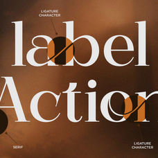 archela-ligature-elegant-serif-font-fontliner-2.png