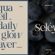argalis-unique-beauty-serif-font-pandeka-foundry-3.png