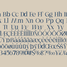 argalis-unique-beauty-serif-font-pandeka-foundry-9.png