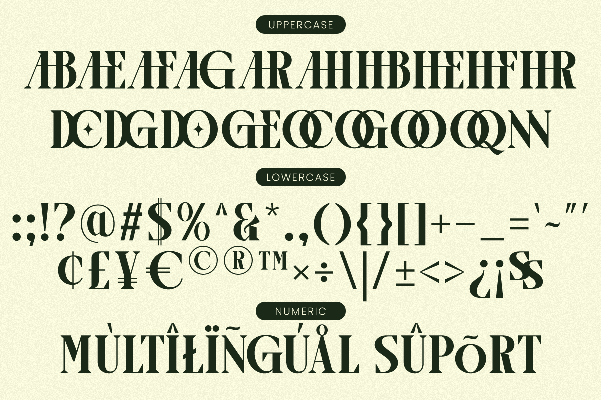 arogel-luxury-ligature-serif-font-say-studio-10.png