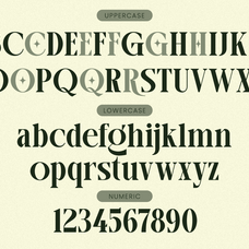 arogel-luxury-ligature-serif-font-say-studio-9.png