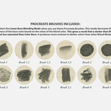 Asai Chu Procreate Kit