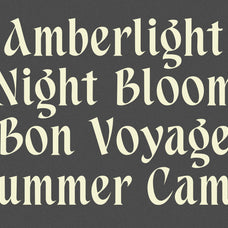 aspenleigh-elegant-decorative-serif-font-unknown-creator-11.jpg