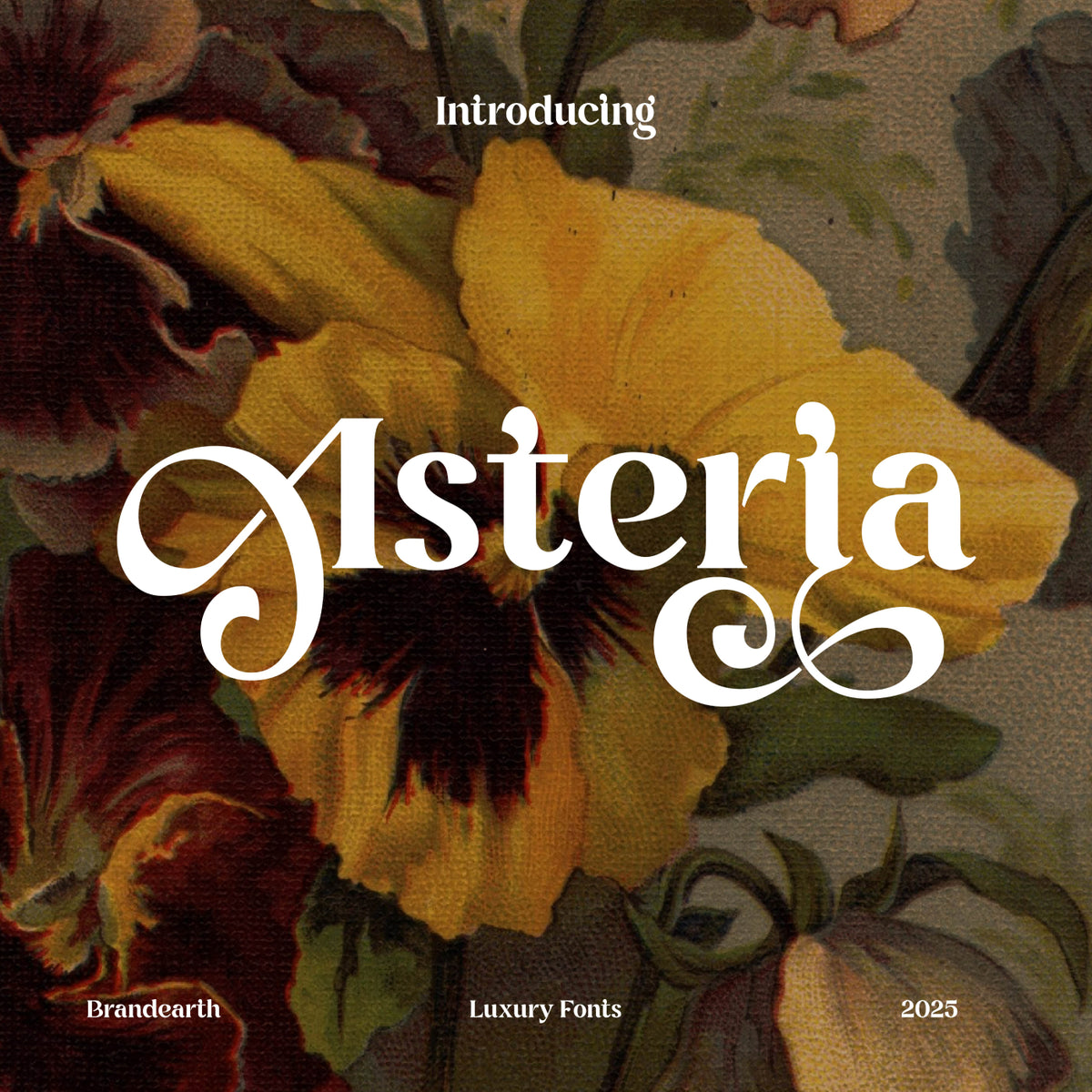asteria-luxury-font-unknown-creator-1.jpg