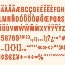 astern-shade-blackletter-font-unknown-creator-9.jpg