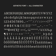 asthetic-nostalgic-serif-font-craft-supply-co-8.jpg