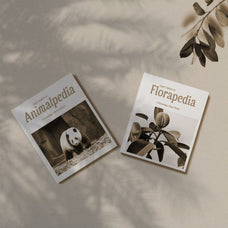 asvoria-stylish-serif-craft-supply-co-7.jpg