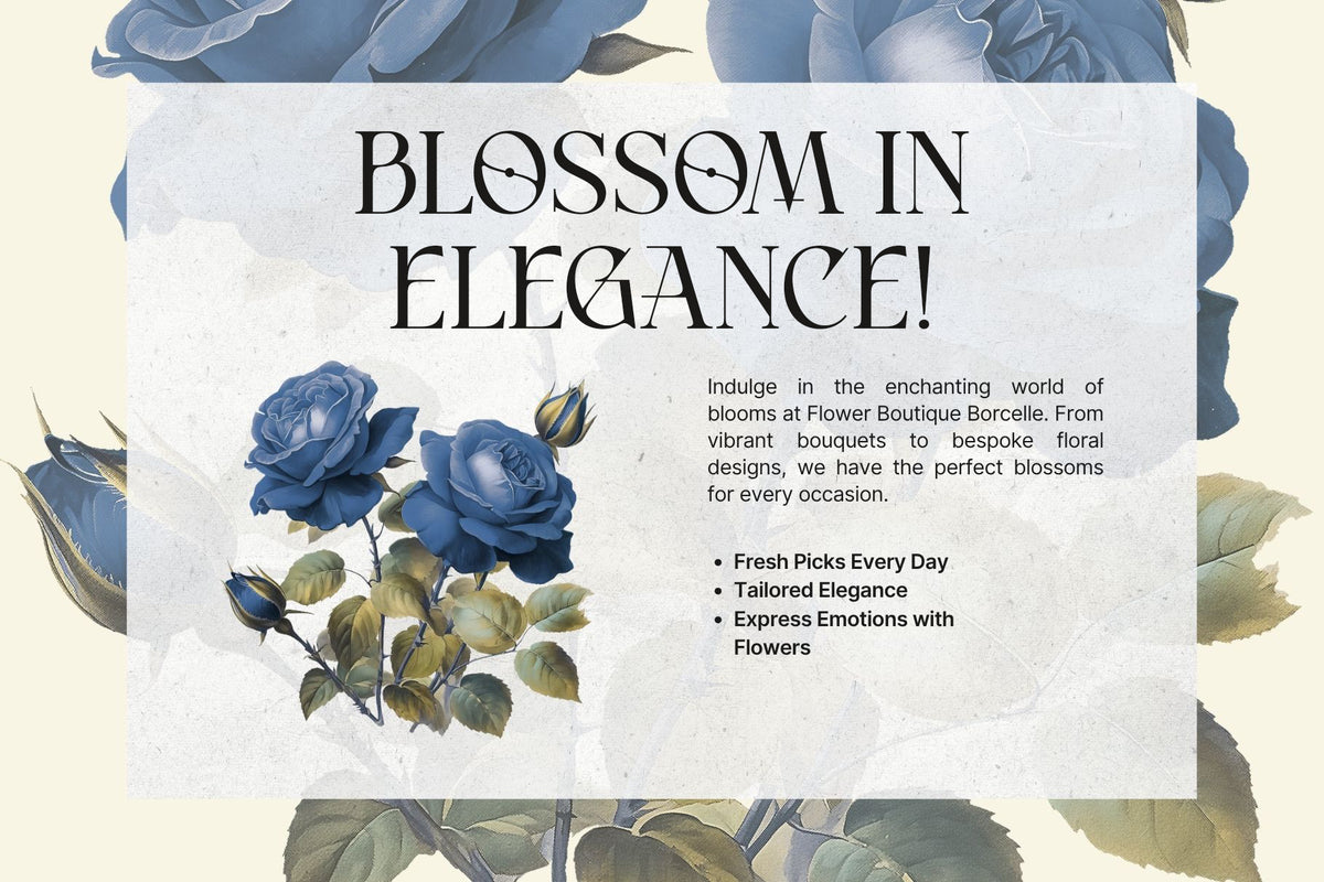 atteliora-elegant-serif-font-unknown-creator-6.jpg