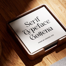 atteliora-elegant-serif-font-unknown-creator-9.jpg