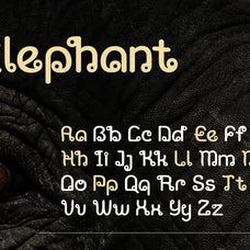 aunthara-creative-font-vadova-studio-4.jpg