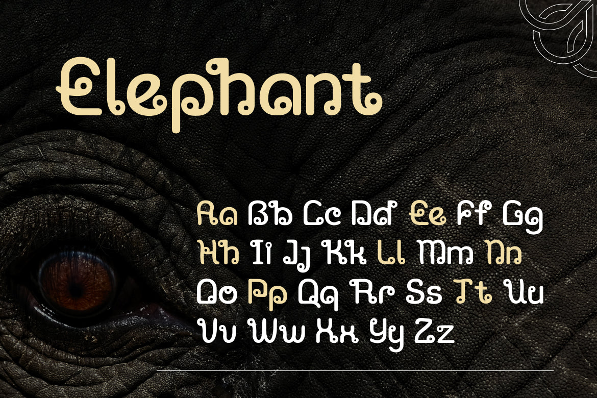 aunthara-creative-font-vadova-studio-4.jpg