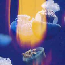 Aura Leaks Photo Effect