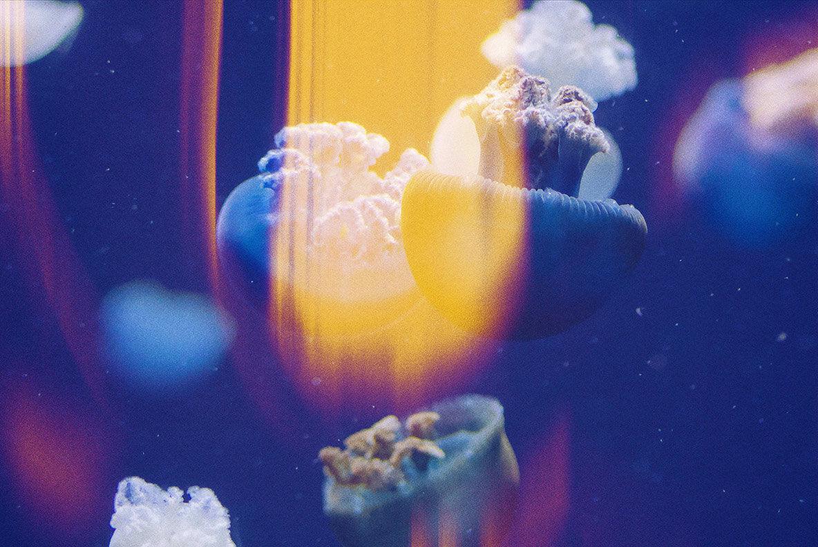 Aura Leaks Photo Effect