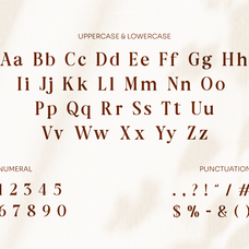 aurine-modern-display-serif-font-rasio-std-2.png