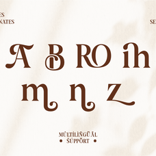 aurine-modern-display-serif-font-rasio-std-3.png