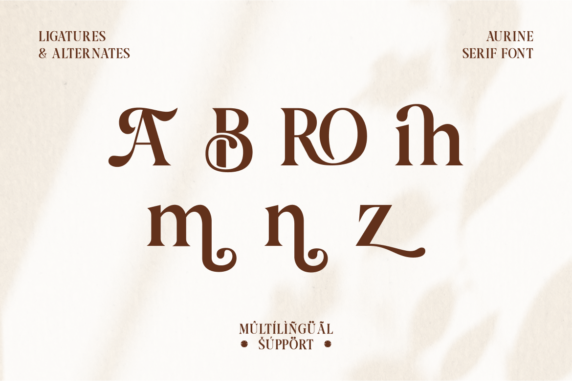 aurine-modern-display-serif-font-rasio-std-3.png