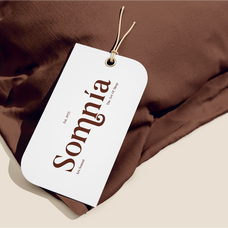 aurine-modern-display-serif-font-rasio-std-8.png