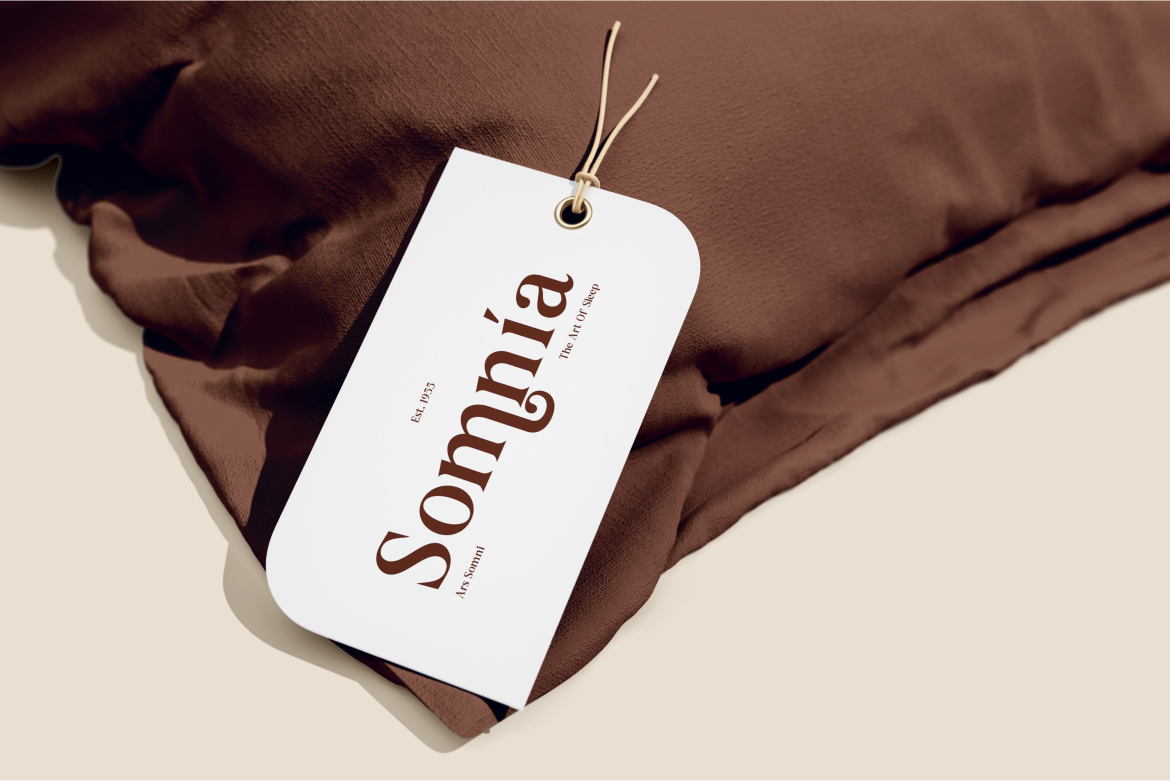 aurine-modern-display-serif-font-rasio-std-8.png