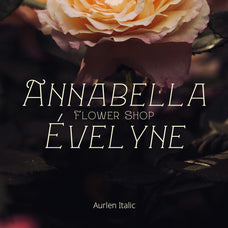 aurlen-elegant-serif-craft-supply-co-2.jpg
