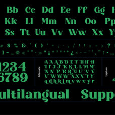 auromiya-font-elegant-display-serif-koplexs-studio-2.jpg
