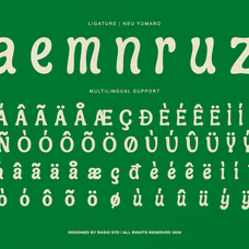 aveloin-groovy-bold-display-font-rasio-std-3.png